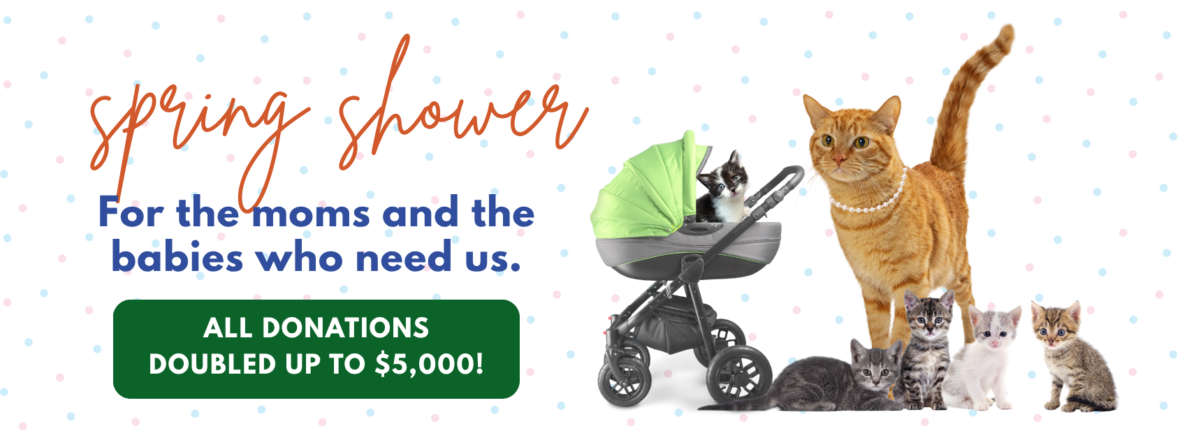 Campaign cover image for Spring Shower 2026