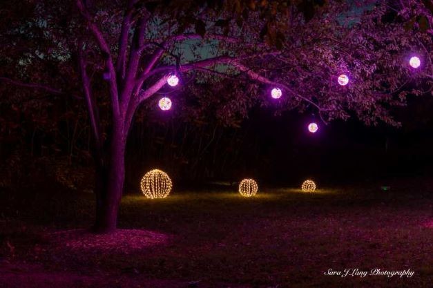 Campaign cover image for Event & Program Sponsorship