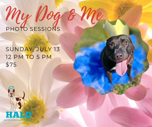 Campaign cover image for My Dog and Me Photo Sessions