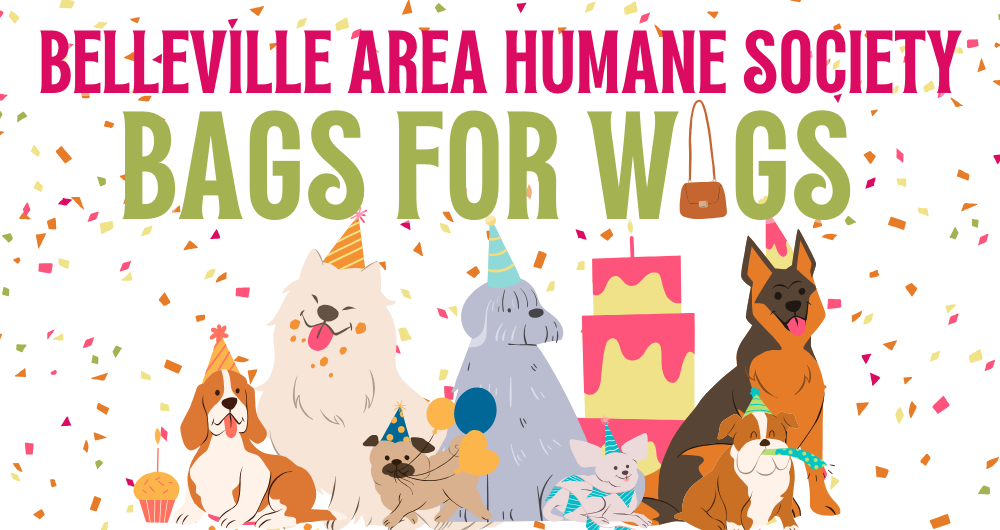 Campaign cover image for Bags for Wags