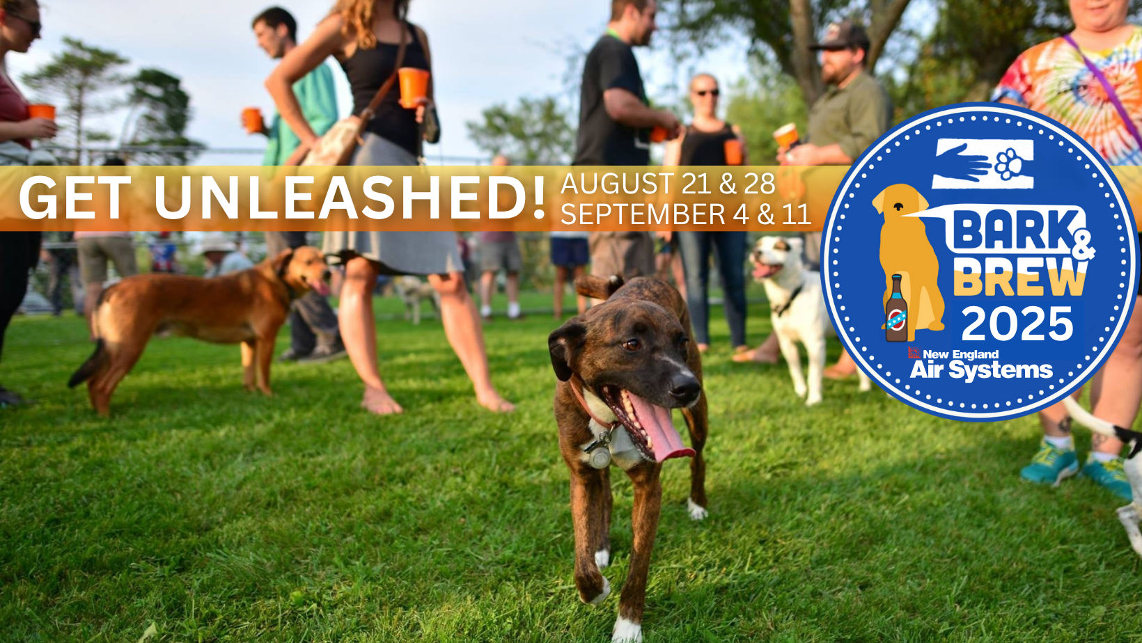 Campaign cover image for Bark & Brew 2025