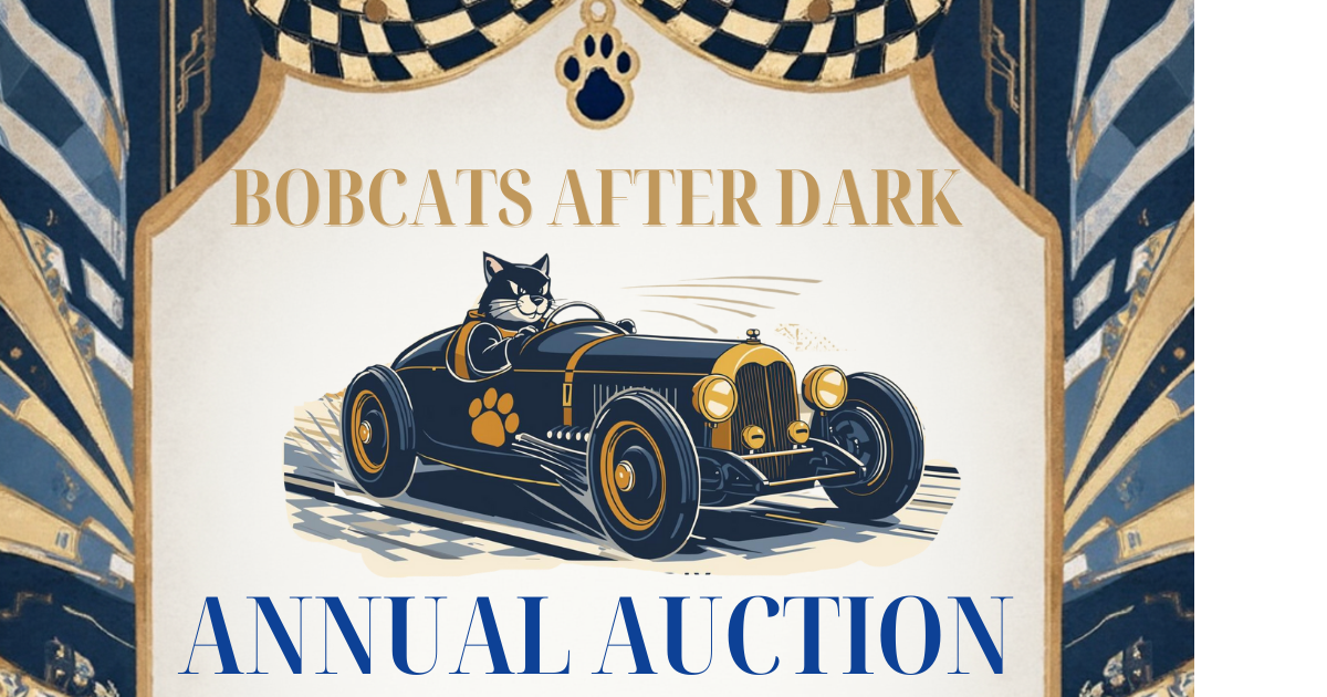 Campaign cover image for Bobcats After Dark: Annual Auction Party