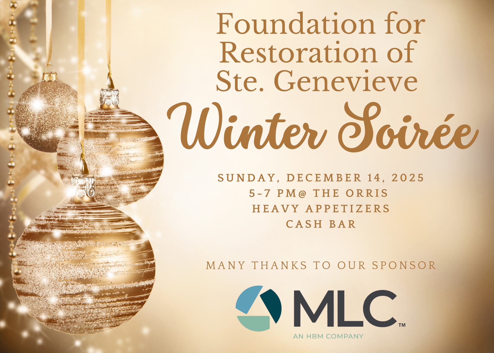 Campaign cover image for Winter Soirée