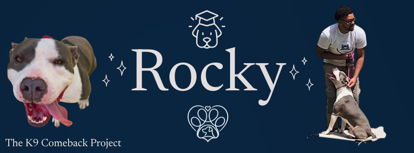 Campaign cover image for Rocky's Training Fundraiser