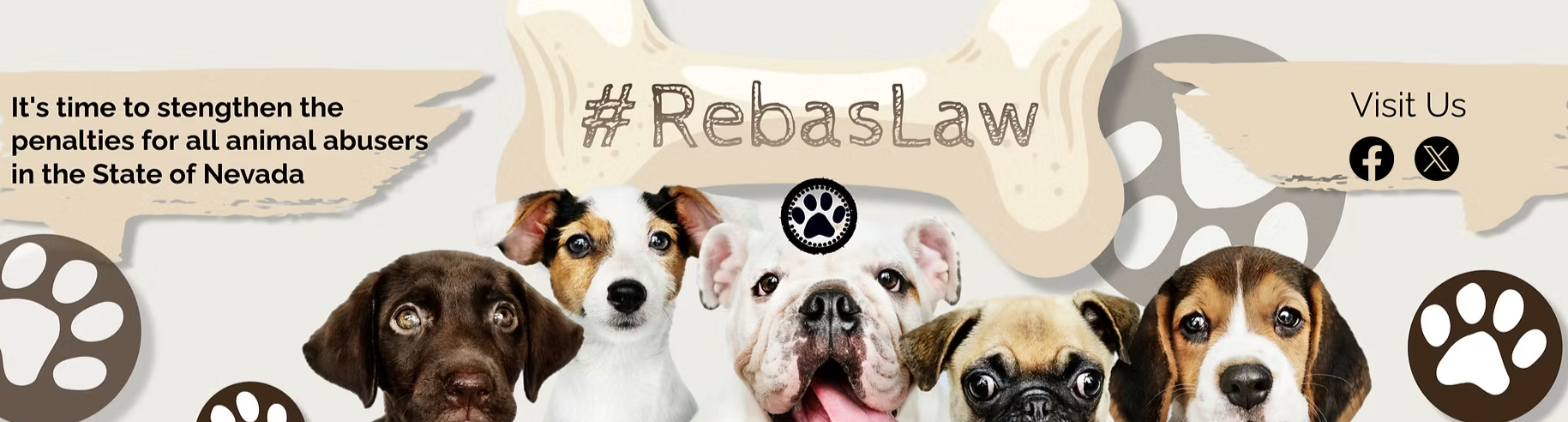 Campaign cover image for Reba's Law AB 381