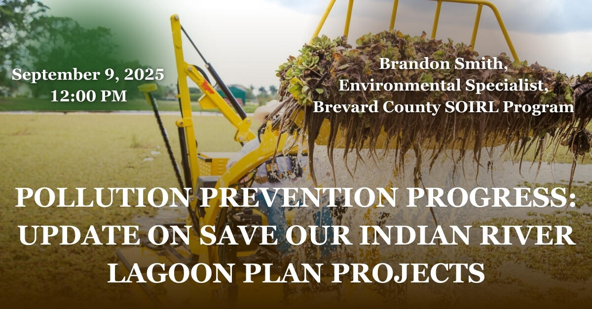 Campaign cover image for Lagoon At Noon - September 2025