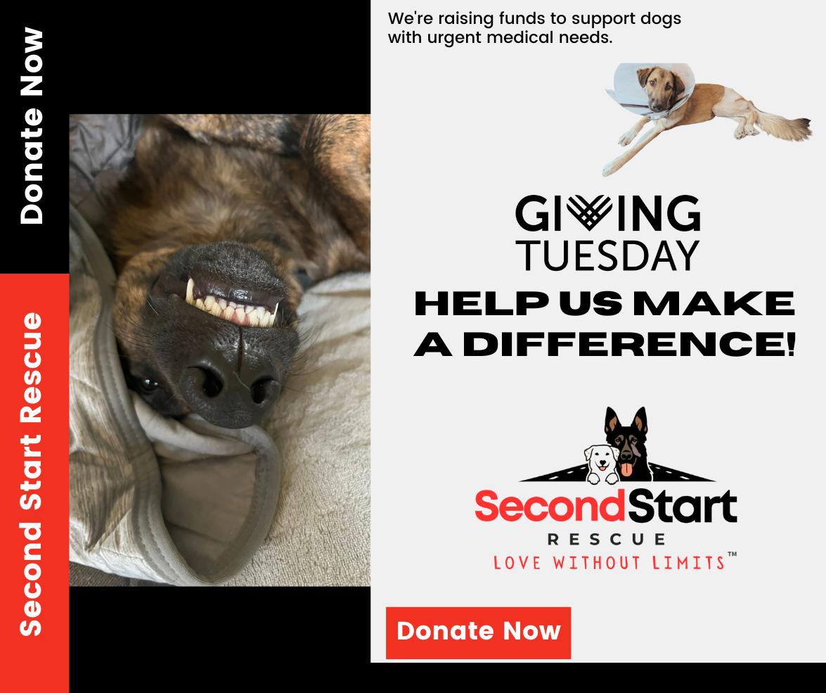 Campaign cover image for Giving Tuesday 2025