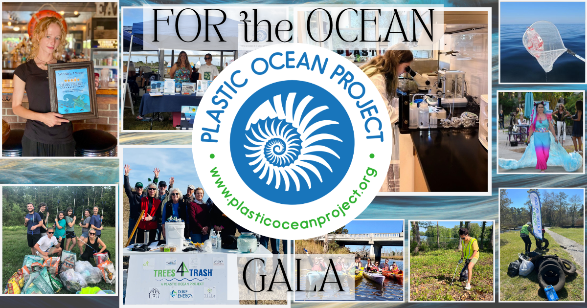 Campaign cover image for 5th Annual For the Ocean Gala