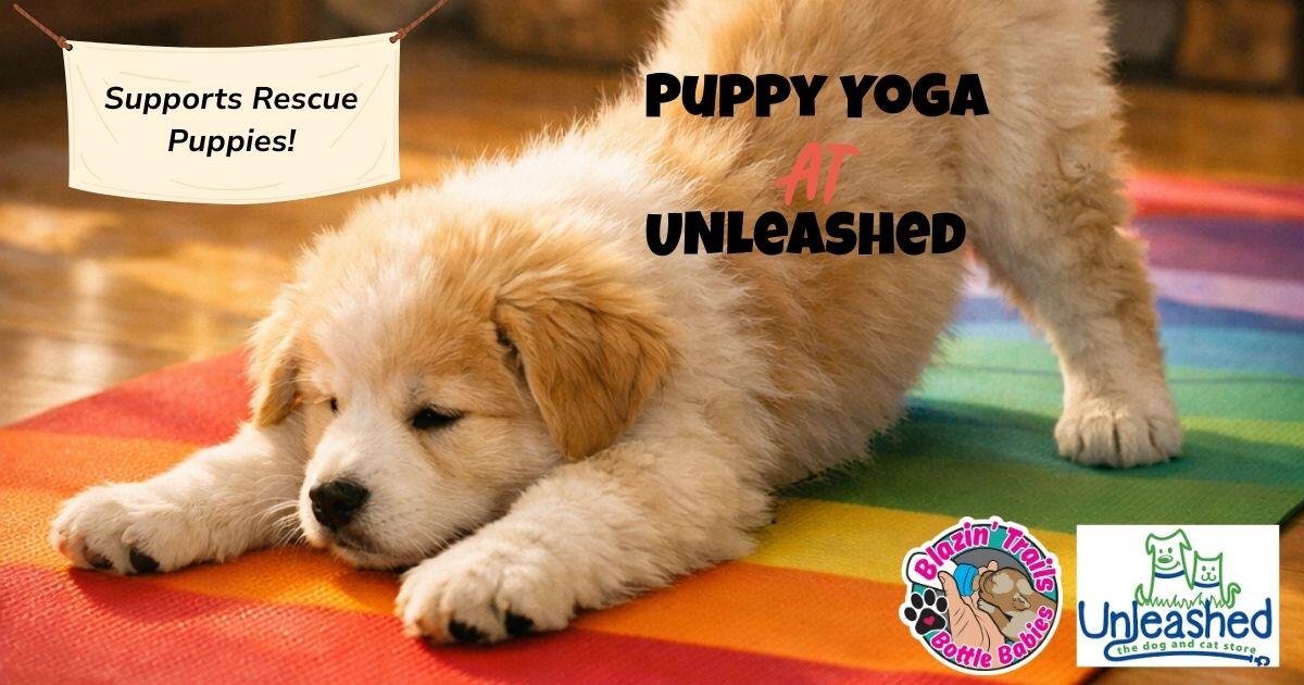 Campaign cover image for Puppy Yoga at Unleashed N. Raleigh - 2/22/26 1:30 class