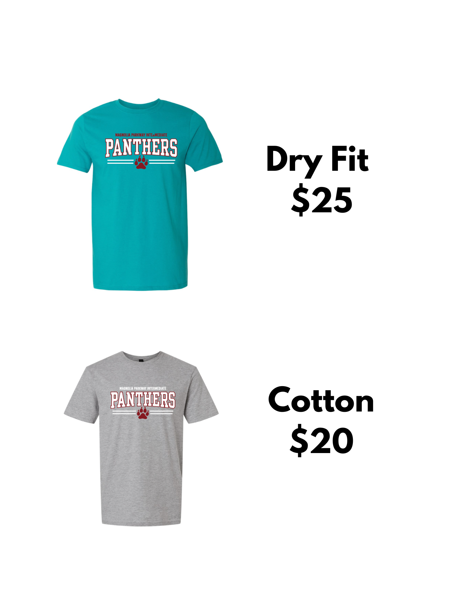 Campaign cover image for Spirit Shirt Pre-Order
