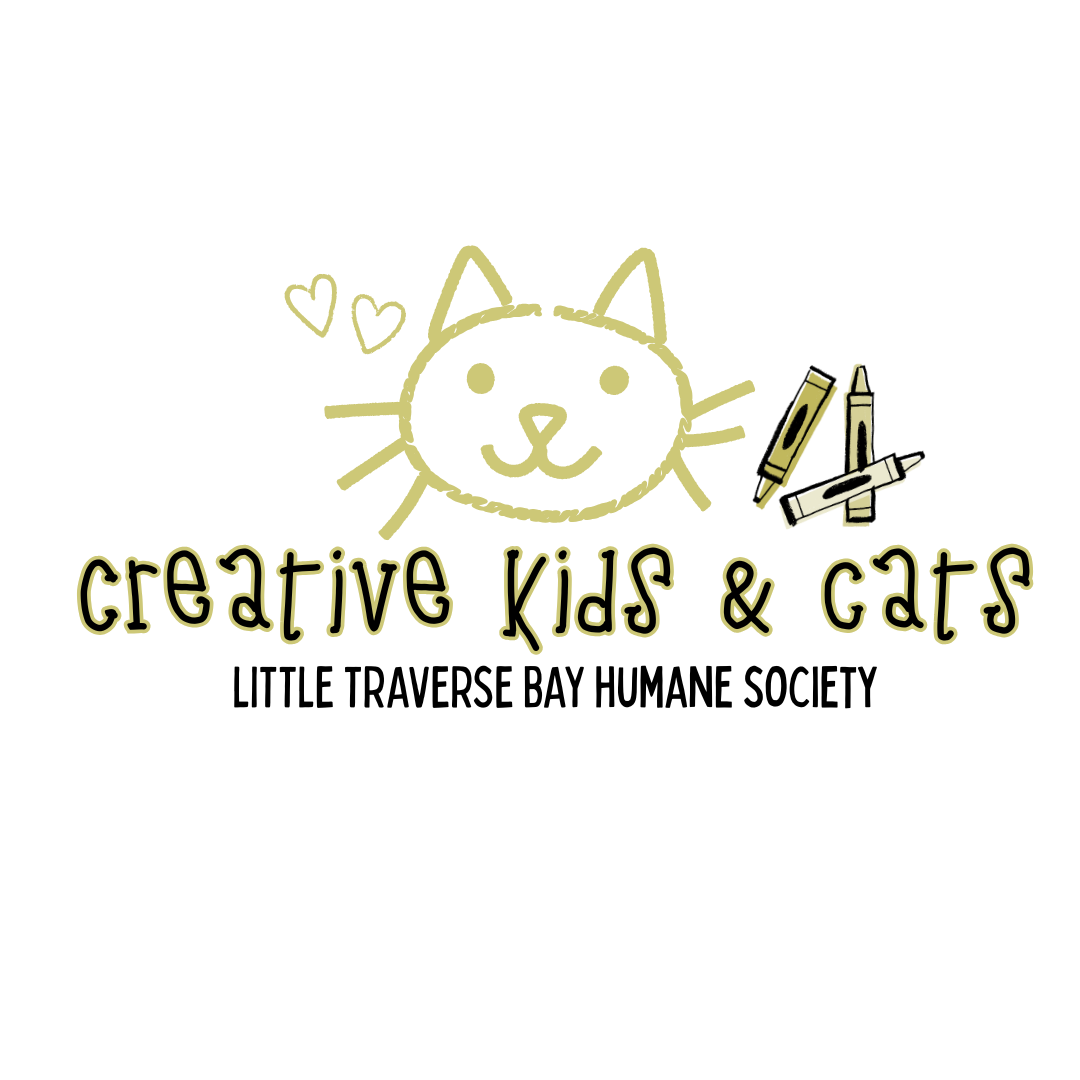 Campaign cover image for Creative Kids and Cats