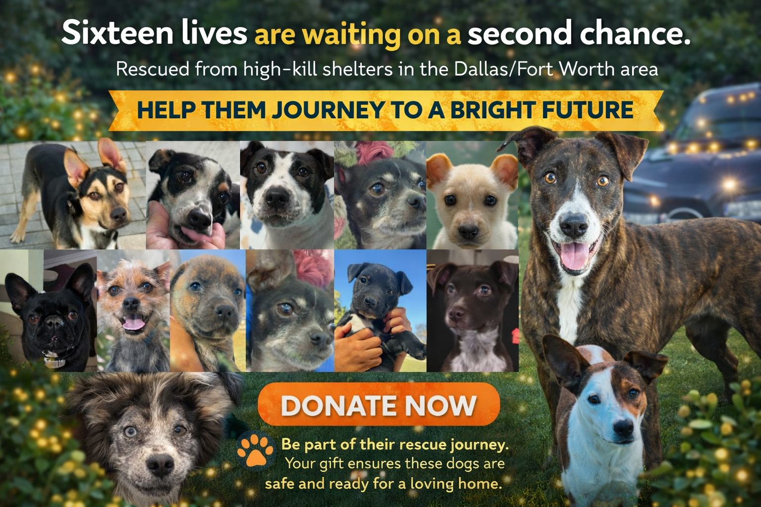 Campaign cover image for Flight to Freedom - April 11