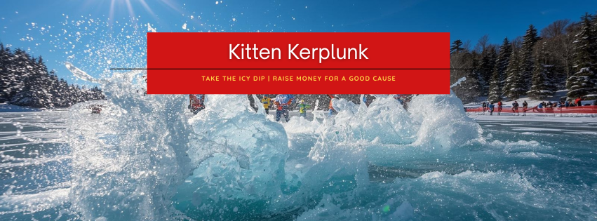 Campaign cover image for 4th Annual Kitten Kerplunk