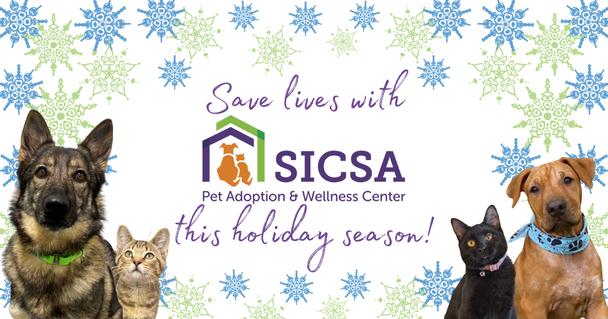 Campaign cover image for Save Lives With SICSA This Holiday Season!