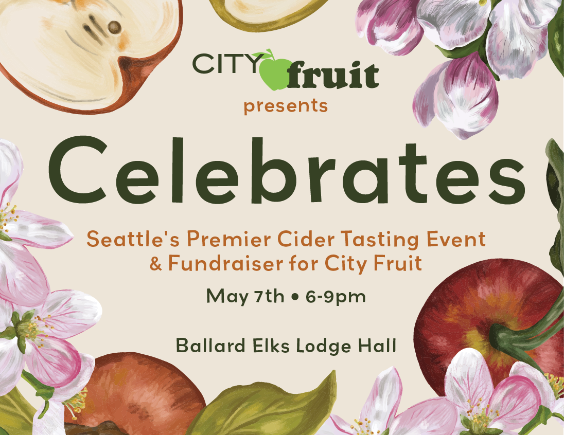 Campaign cover image for Celebrates 2026