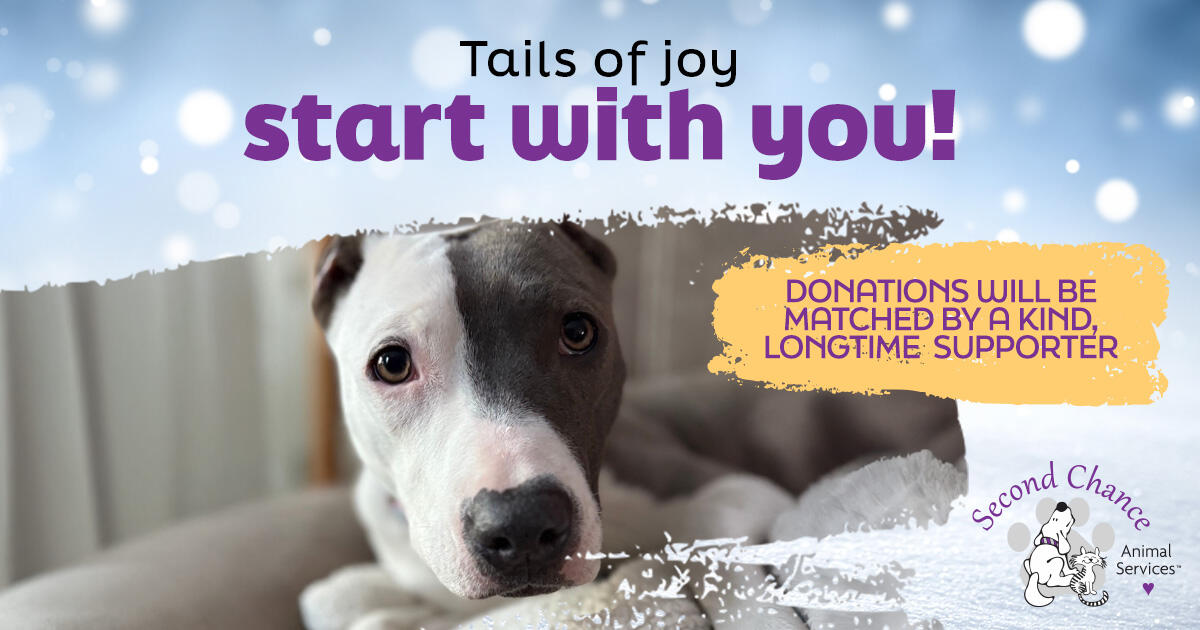 Campaign cover image for Tails of Joy Start with You!
