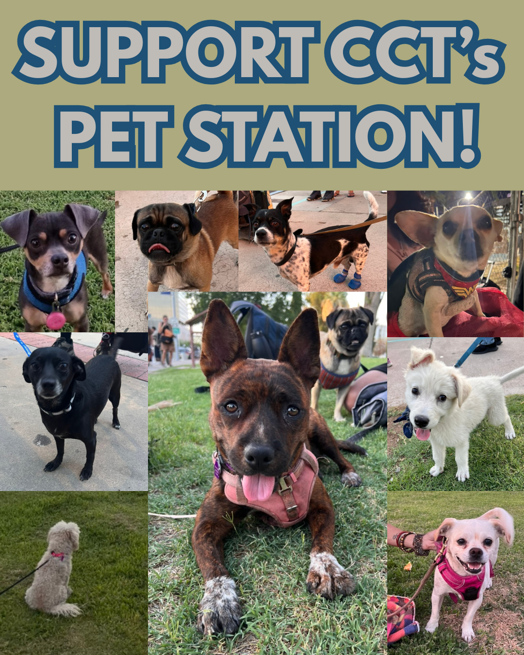 Campaign cover image for Support CCT's Pet Station!