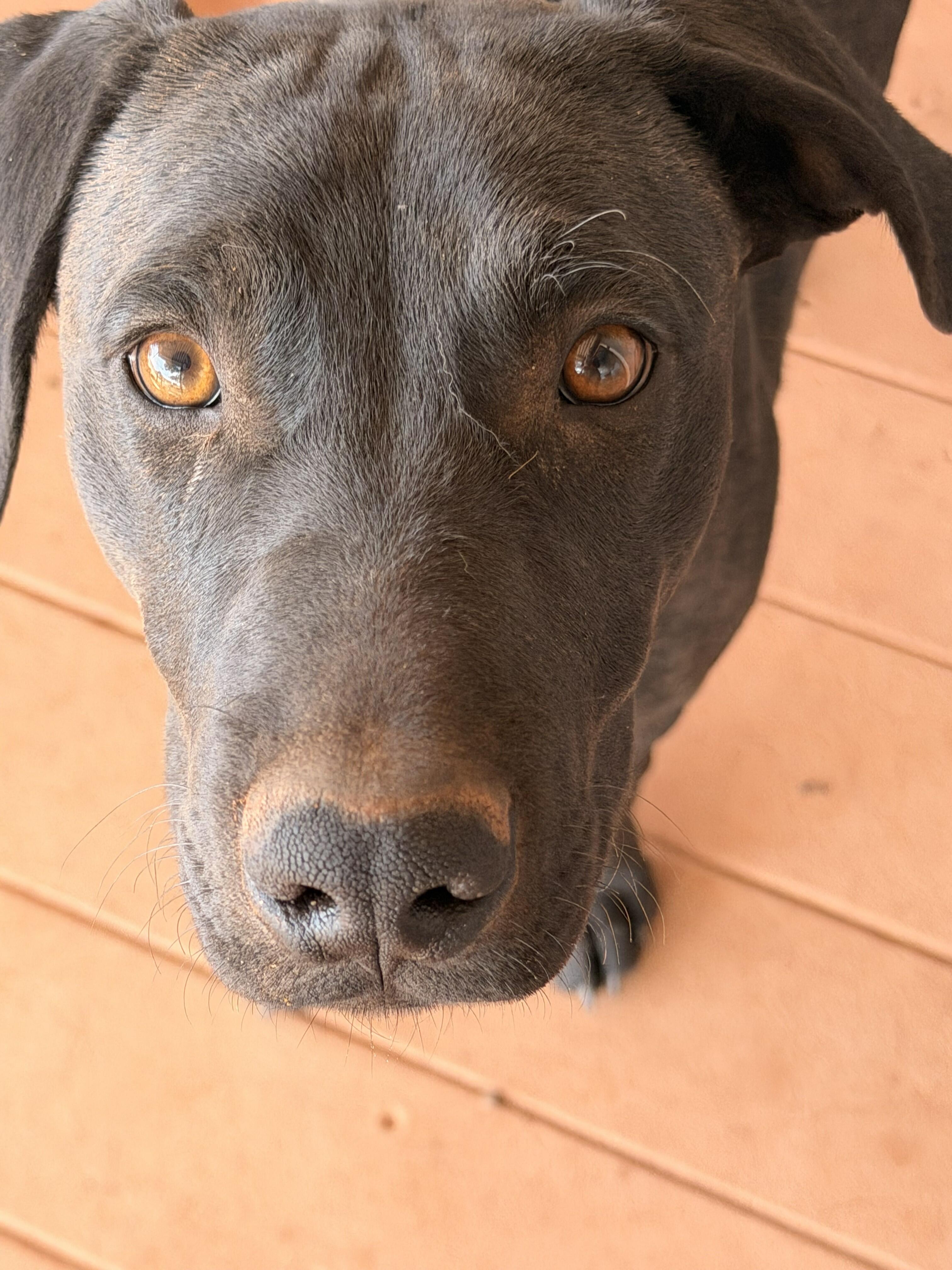 Campaign cover image for Broken to Beloved Animal Rescue & Sanctuary