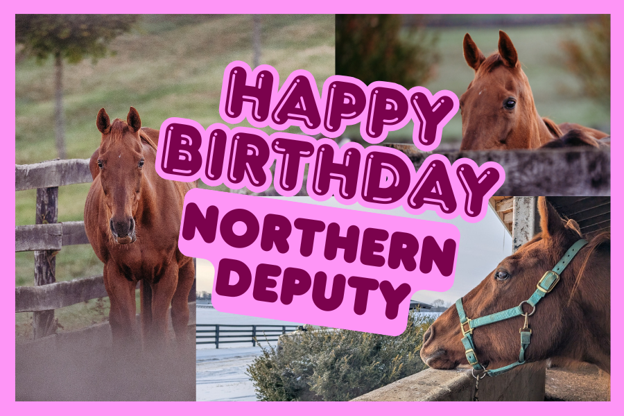 Campaign cover image for Northern Deputy Birthday