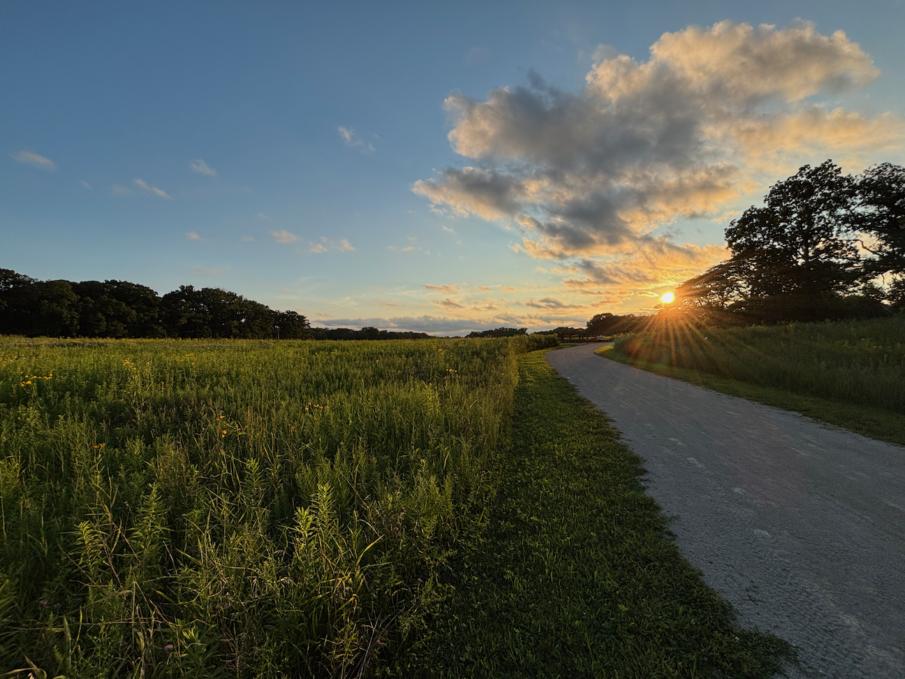 Campaign cover image for Virtual Walk-a-Thon for Climate Hope 2026