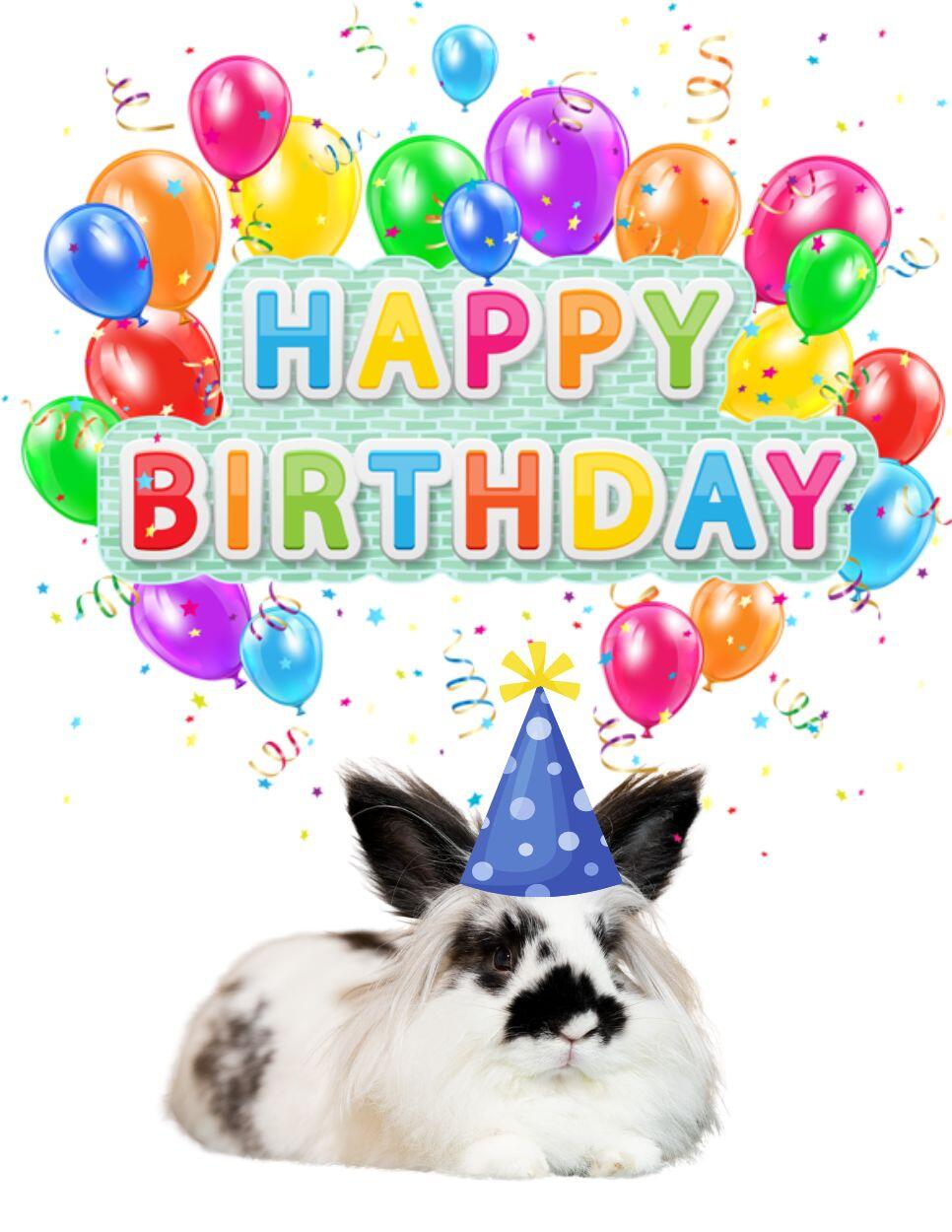 Campaign cover image for Birthday Experience