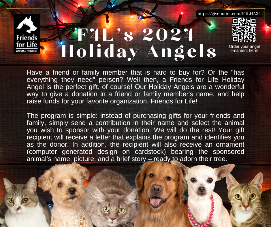 Campaign cover image for Friends for Life's Holiday Angels 2024