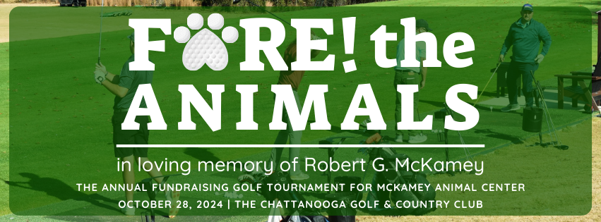 Campaign cover image for Fore! The Animals Golf Tournament