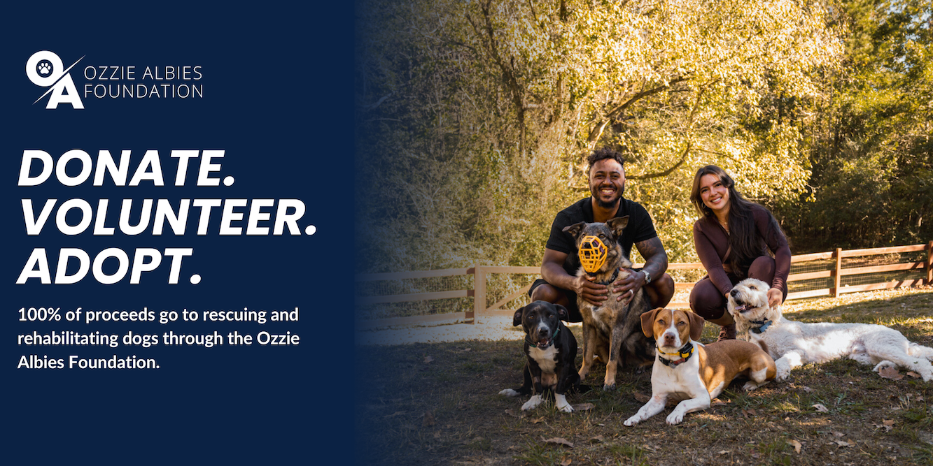 Campaign cover image for Ozzie Albies Foundation