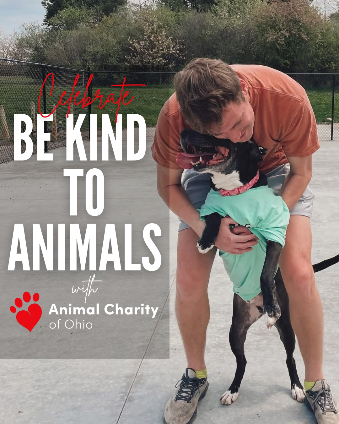 Campaign cover image for Be Kind to Animals