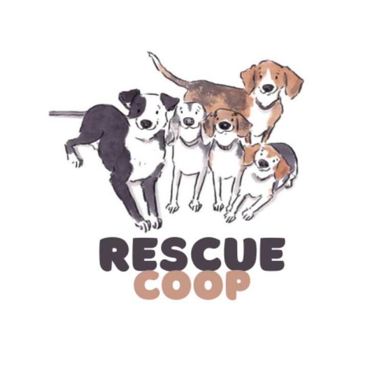 Campaign cover image for Rescue Coop's Fall Auction