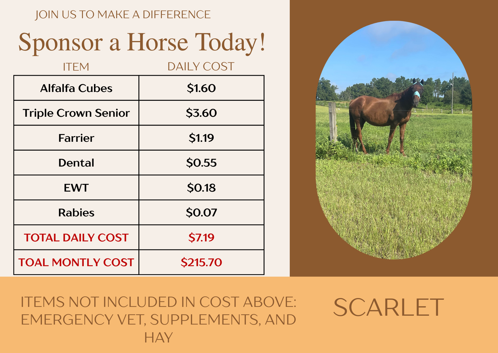 Campaign cover image for Scarlet Sponsorship