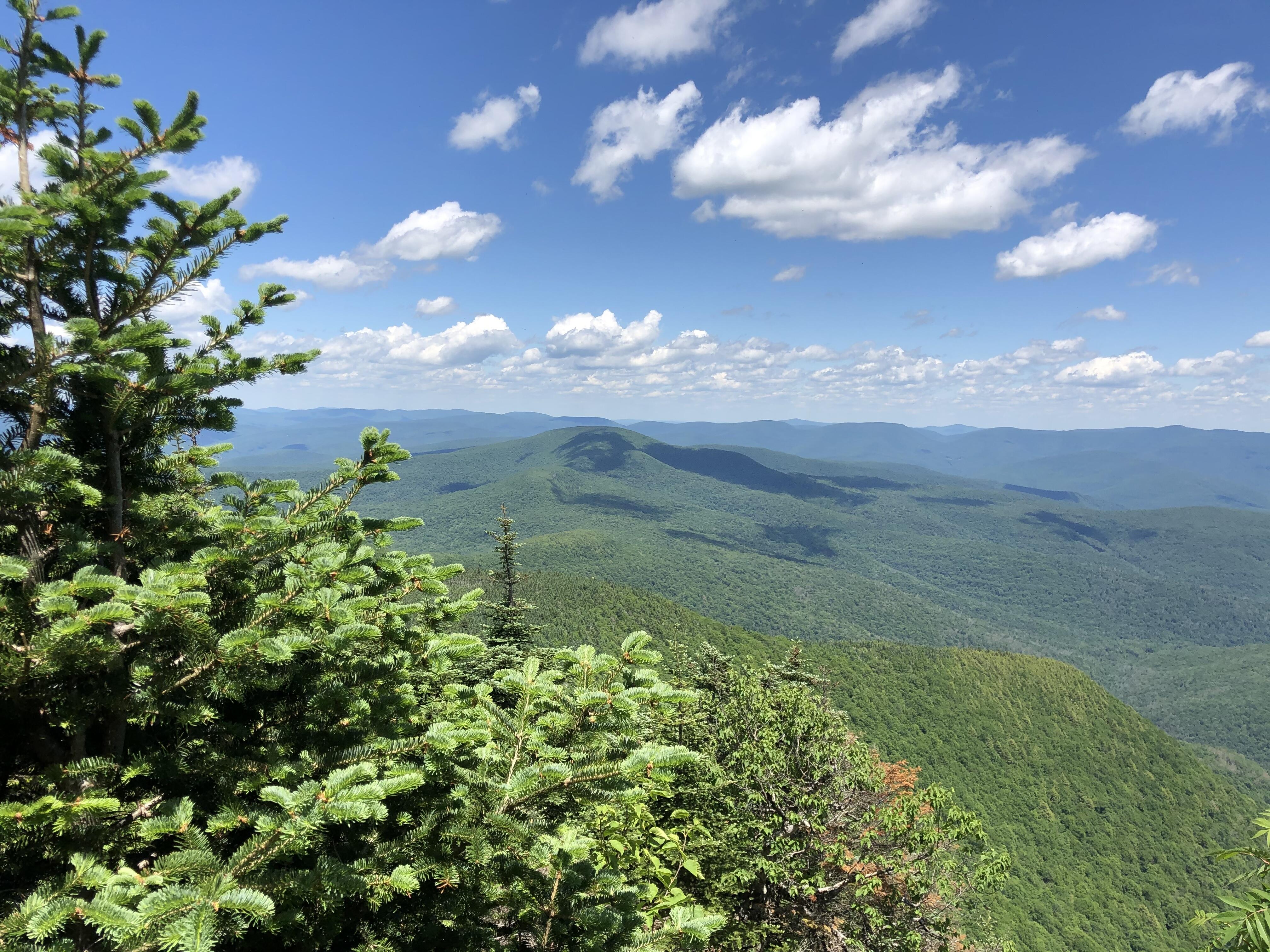 Campaign cover image for Hike & Learn Series: Slide Mountain