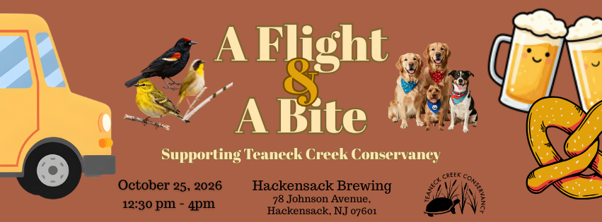 Campaign cover image for A Flight & A Bite with a Fall Auction!