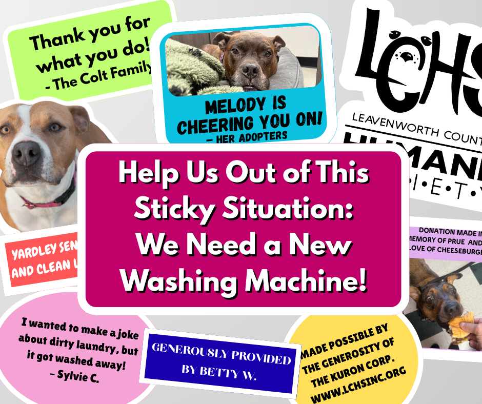 Campaign cover image for Help Us Out of This Sticky Situation: We Need a New Washing Machine!
