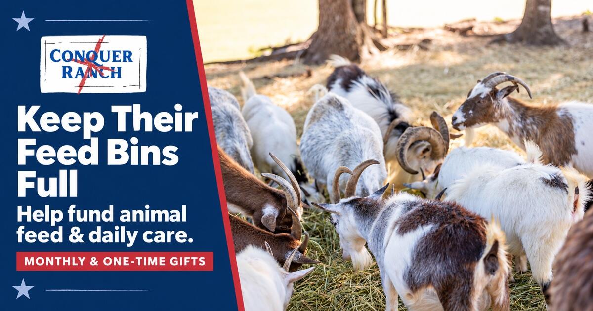 Campaign cover image for Care for the Animals | Conquer Ranch