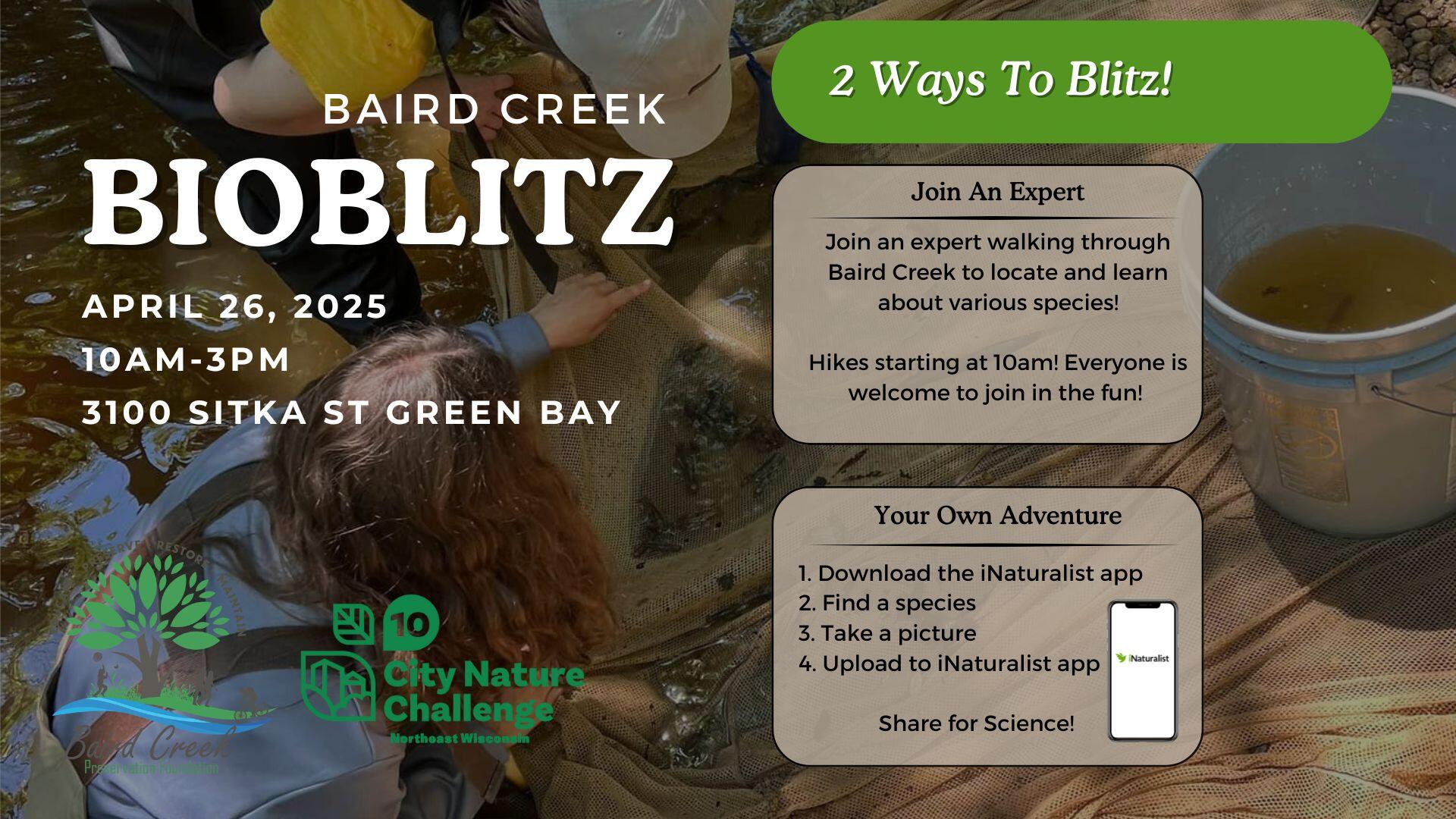 Campaign cover image for Baird Creek Bioblitz 2025