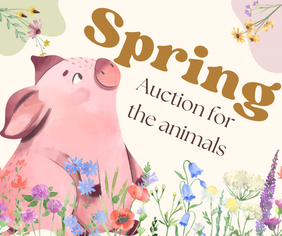 Campaign cover image for 2026 Spring Auction