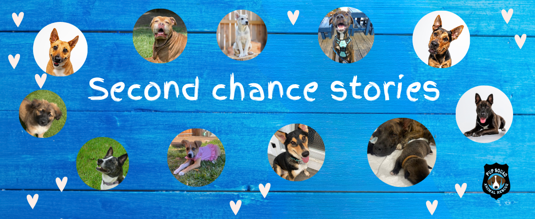 Campaign cover image for Second chances are the heart of our mission