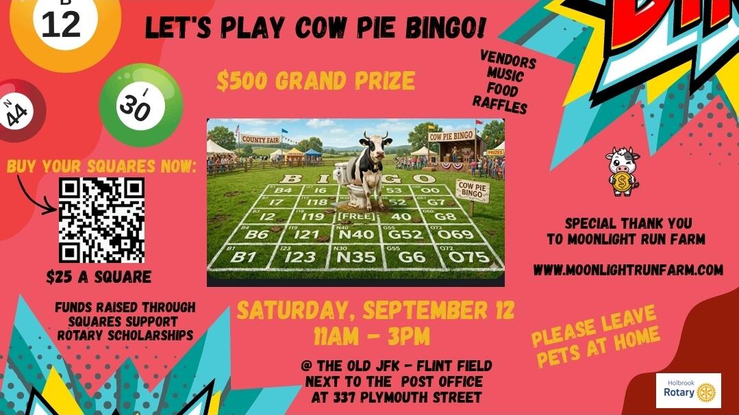 Campaign cover image for COW PIE BINGO