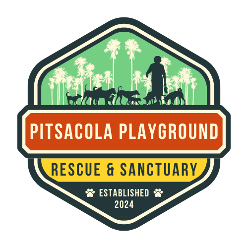 Campaign cover image for Pitsacola Playground Fundraising Benefit Hosted by The Batty Sisters