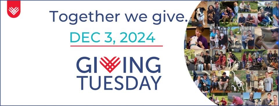 Campaign cover image for Giving Tuesday for Operation Paws for Homes