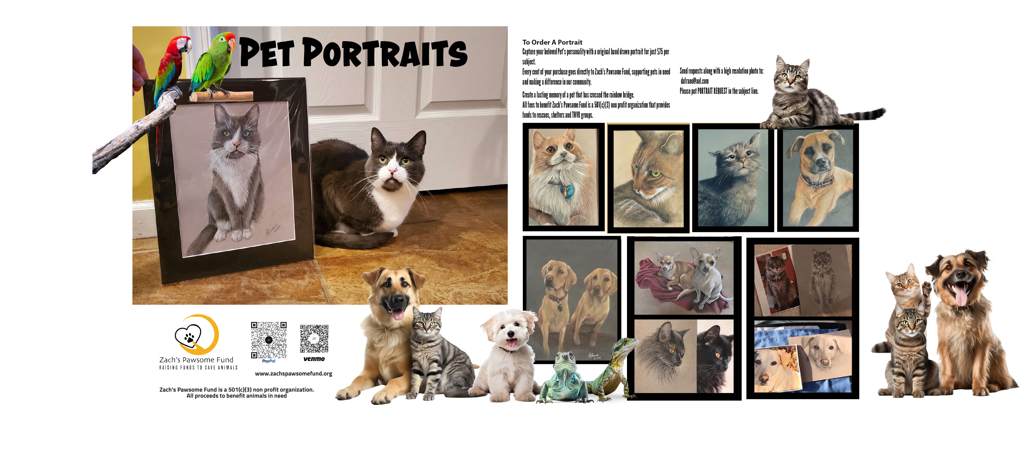 Campaign cover image for Pet Portraits
