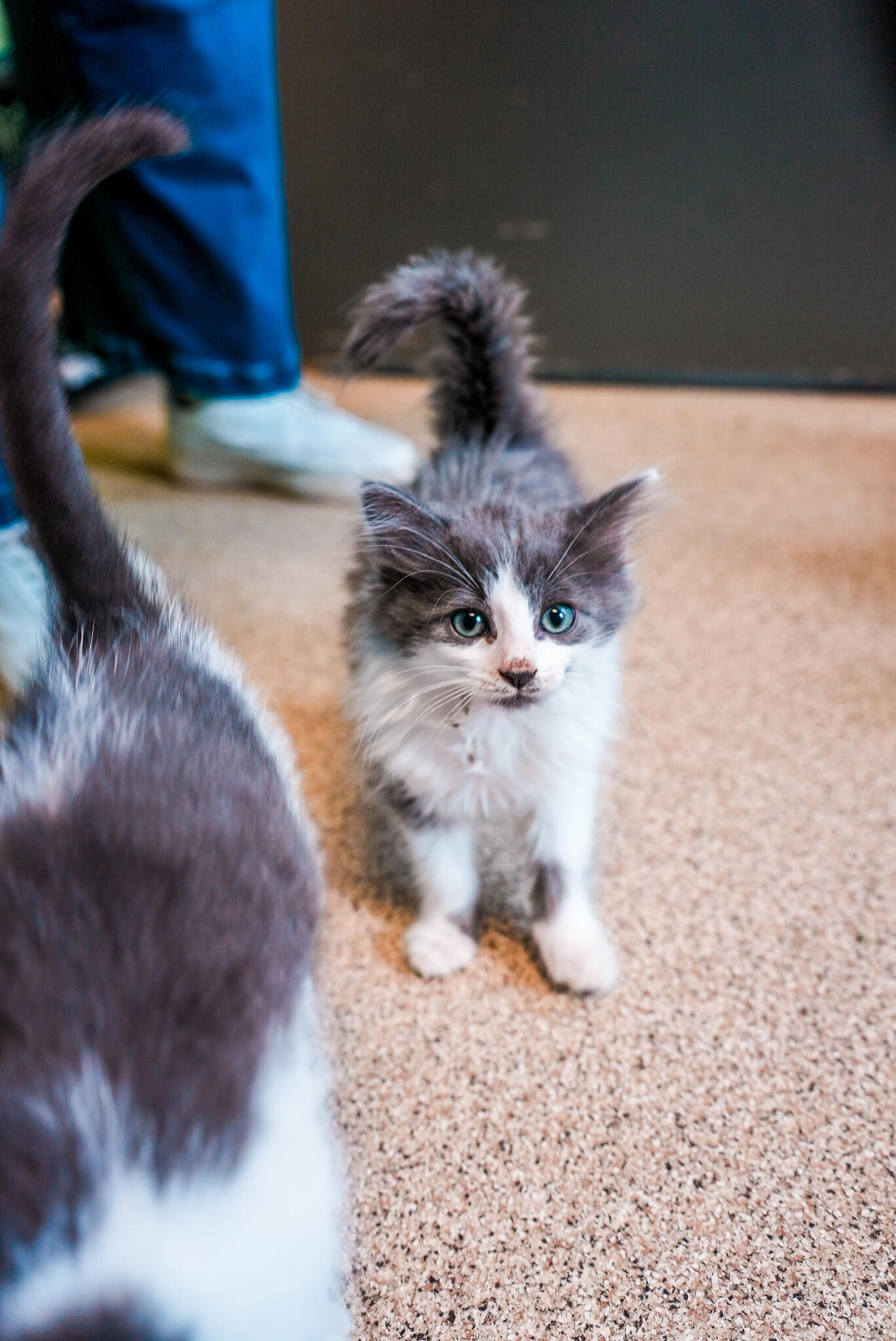 Campaign cover image for For the People Fund