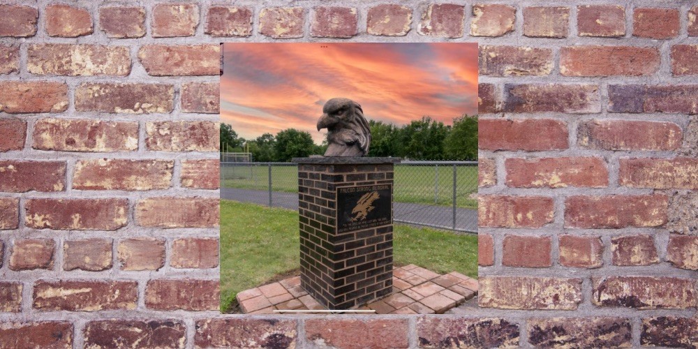 Campaign cover image for Falcon Strong Memorial Fund - For Falcon Strong Memorial Field and Court