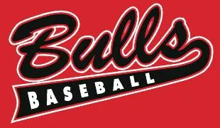 Campaign cover image for 2025 9U Bulls Team Fundraiser