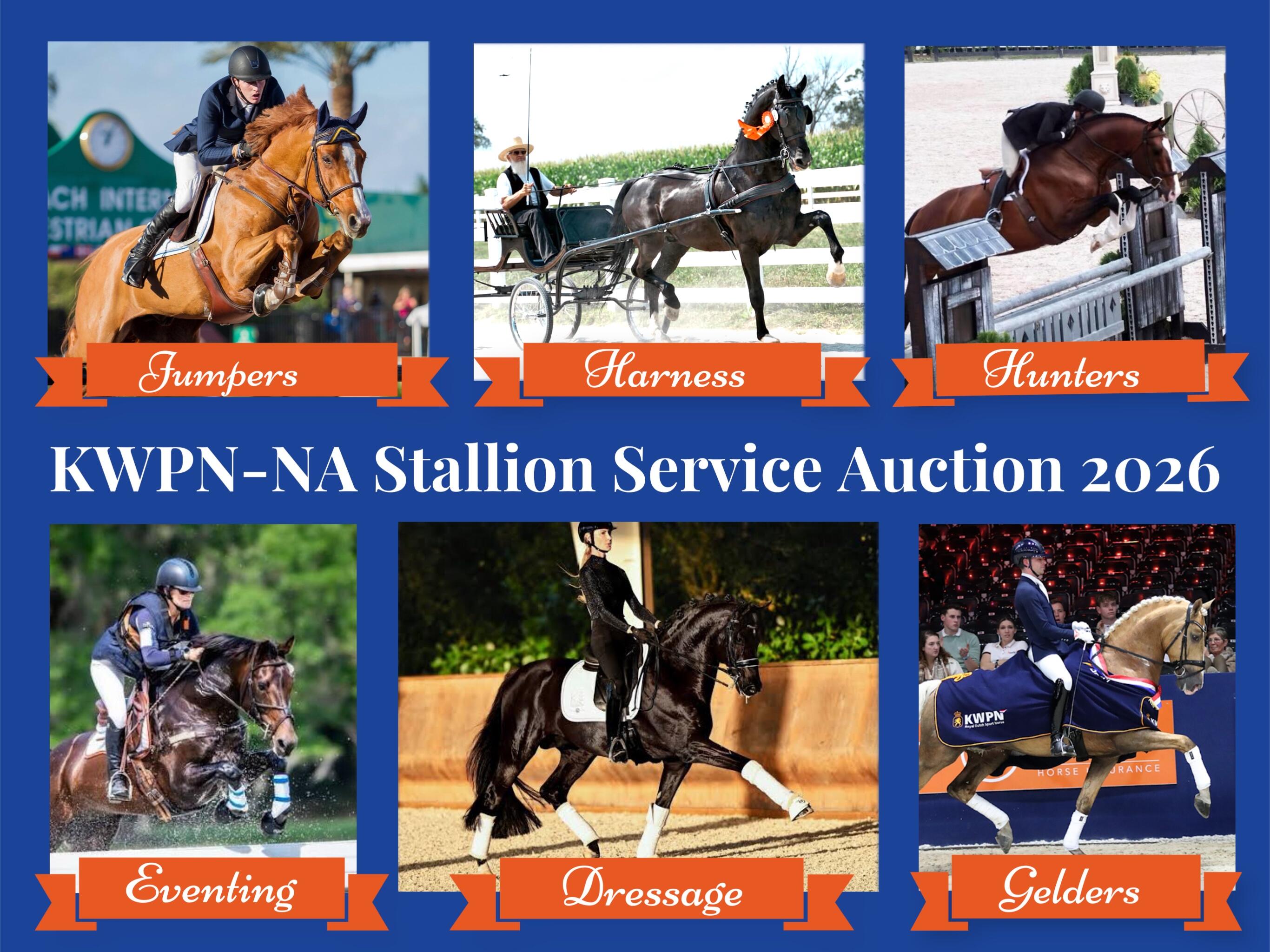 Campaign cover image for 2026 KWPN-NA Stallion Service Auction