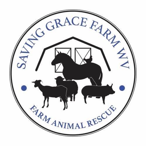 Campaign cover image for Saving Grace Farm WV Summer Fundraiser