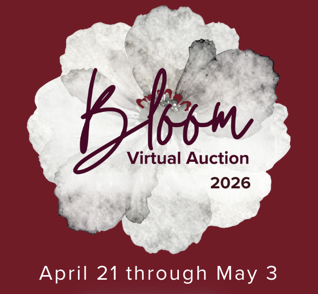 Campaign cover image for Bloom Virtual Auction 2026