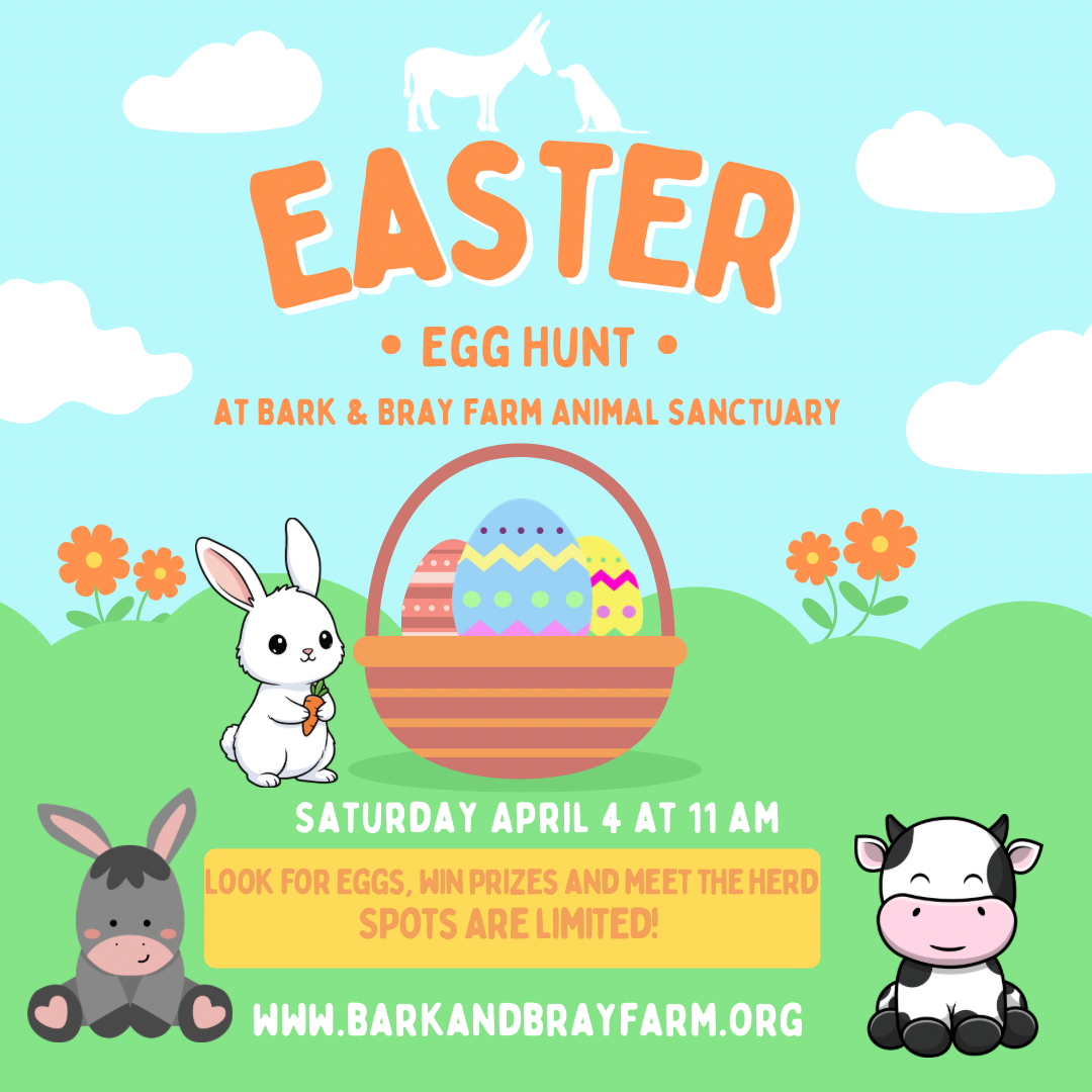 Campaign cover image for Easter Egg Hunt 2026