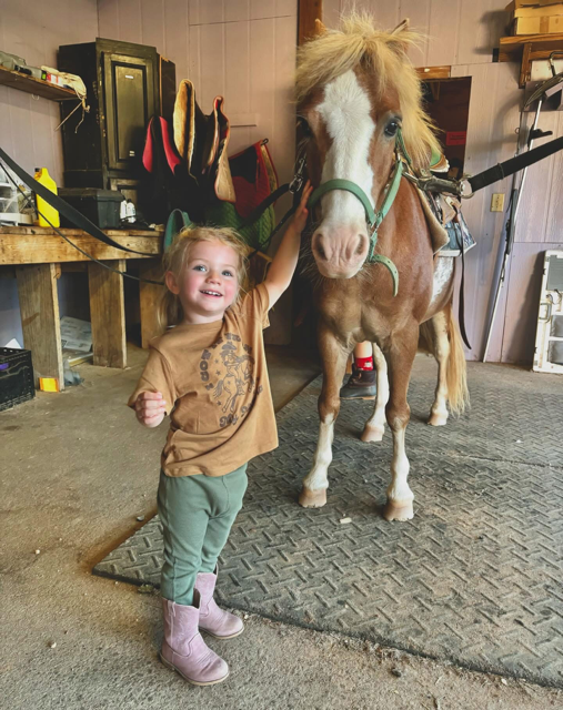 Campaign cover image for Butterfly Dreams Farm Fall Festival 50/50 Raffle